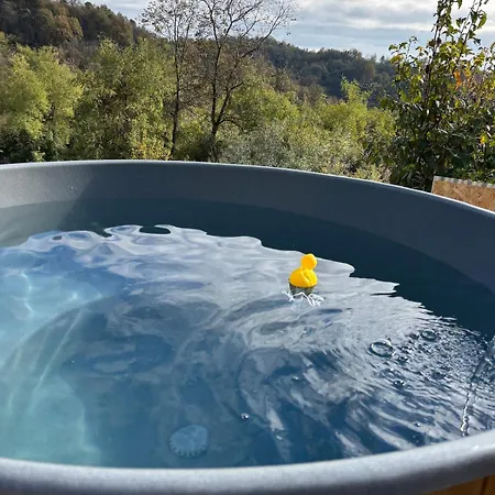 Fantail Bed & Breakfast Sciolze