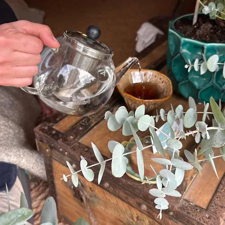 Fantail ベッド・アンド・ブレックファスト 3*