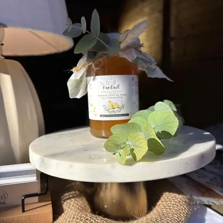 Alojamento de Acomodação e Pequeno-almoço Fantail 3*