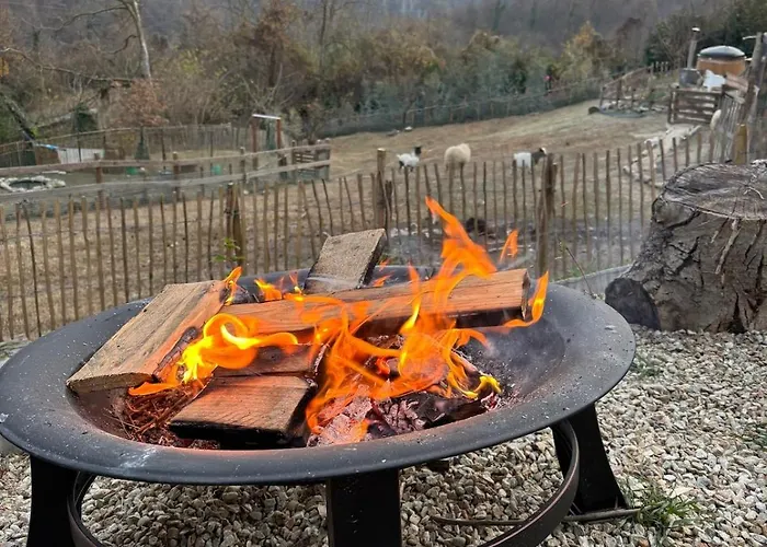 Fantail לינה וארוחת בוקר 3*