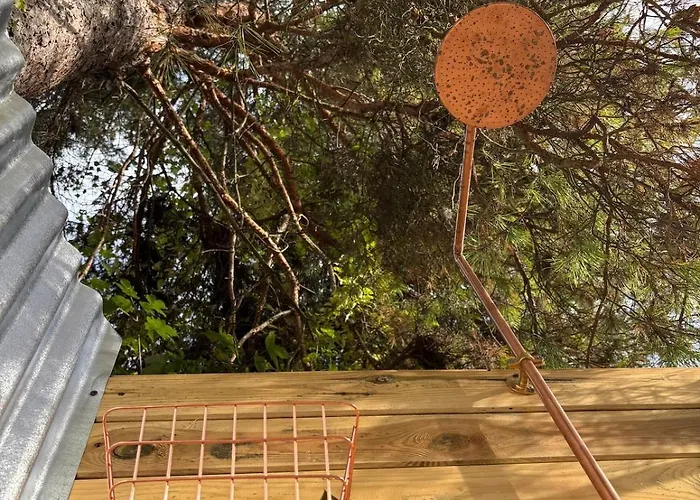 Fantail Bed & Breakfast