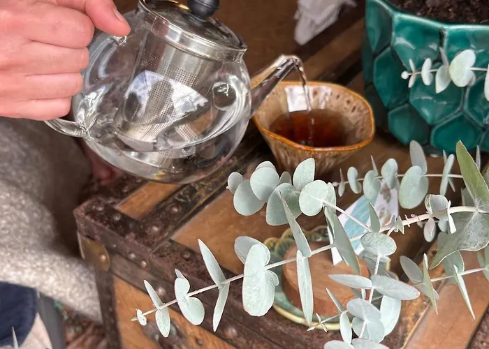 Fantail לינה וארוחת בוקר 3*