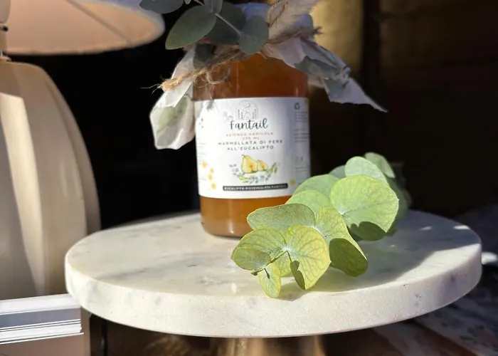 לינה וארוחת בוקר Fantail 3*