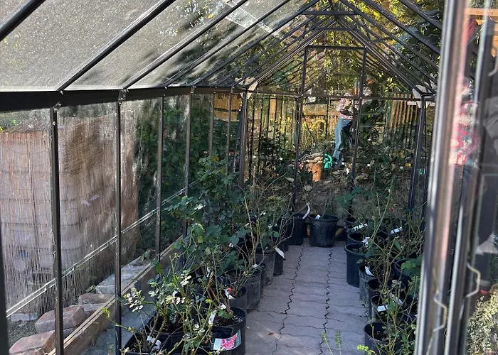 Fantail ベッド・アンド・ブレックファスト 3*